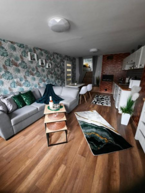 Apartament Zielony Liść 2